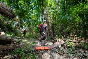 BIB: 
                            <button type="button" onclick="openModal(19389238)" class="btn btn-primary btn-sm float-right btn-popup" data-toggle="modal" data-target=".modal-high-quality">
                        <i class="fas fa-shopping-cart"></i> Add to Cart
                    </button>
                                            <button type="button" onclick="isThisMe(19389238, true)" class="btn btn-success btn-sm float-right btn-popup btn-isme hidden" data-toggle="tooltip" data-placement="bottom" title="นี่คือรูปของคุณใช่ไหม คลิกที่นี่เพื่อเอาเข้าอัลบั้ม">
                        <i class="fas fa-plus"></i> Add to album
                    </button>
                    <button type="button" onclick="isThisMe(19389238, false)" class="btn btn-warning btn-sm float-right btn-popup btn-isnotme hidden">
                        <i class="fas fa-ban"></i> Remove from album
                    </button>